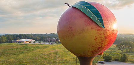 Gaffney Peach Water Tower Painted by Southern Corrosion