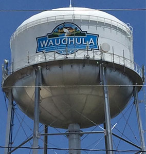 Annual Water Tower Inspections
